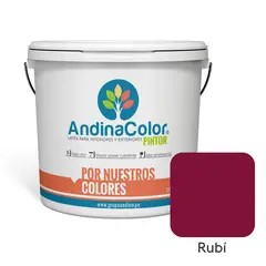 ANDINACOLOR - PINTURA PINTOR RUBI LATEX 1 GALON