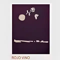 ESTIVANELI - Polo Niño Manga Corta