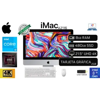 APPLE - Computadora iMAC A2116 Año 2019 8GB RAM 480GB VIDEO 2GB GDDR5 + Hdd 1TB Usb 128