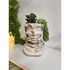 GENERICO - Maceta Medusa + Suculentas