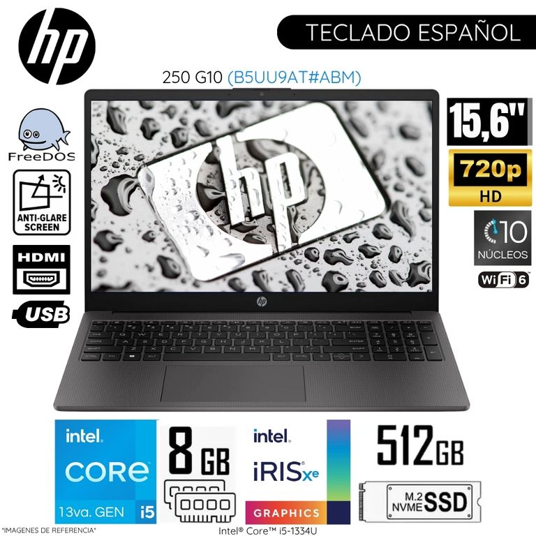 Laptop 250 G10 Intel Core i5-1334U 8GB RAM 512GB SSD 15.6" HD FreeDos (B5UU9AT) - Gris