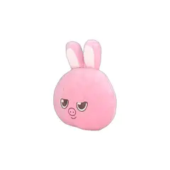 GENERICO - Almohada Cojin Stray Kids Dwaekki