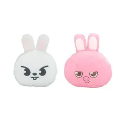 GENERICO - Pack 2 Almohada Cojín Stray Kids Dwaekki Leebit