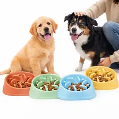 GENERICO - Plato Slow Food Mascotas Seguro BPA Free Alta Calidad