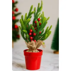 GENERICO - Arbolitos Decorativos para Escritorio o Mesa Pack 3