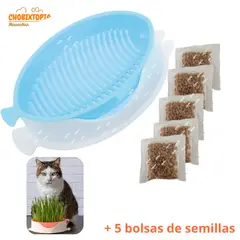 GENERICO - MACETA PARA HIERBA GATERA-PESCADITO-MASCOTA GATO - CELESTE