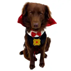 GENERICO - DISFRAZ de Halloween DRÁCULA para Mascotas Talla L