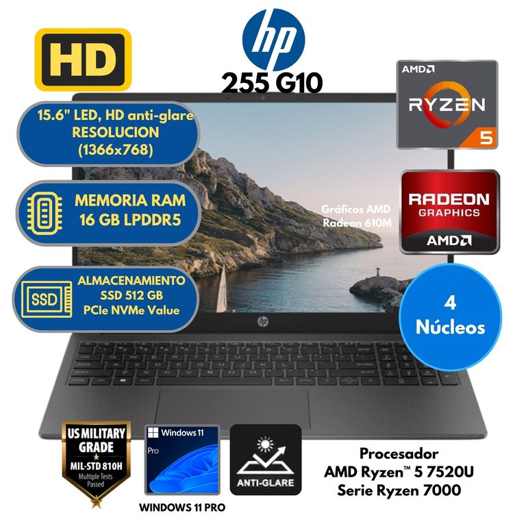 Laptop AMD Ryzen 5 (255 G10) RAM 16 GB SSD 512 GB 15,6" LED Windows 11 PRO