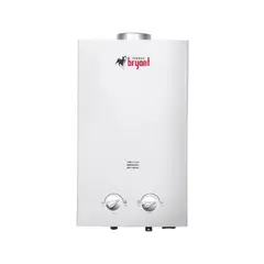 BRYANT - Terma a Gas Natural Master 10L Tiro Natural 2 Puntos