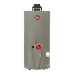 RHEEM - Termotanque a Gas GLP 114L