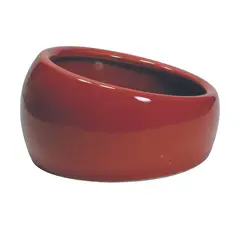 LIVING WORLD - Plato Ergonómico Cerámico para Pequeñas Mascotas y Aves - Terracota -