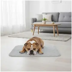 GENERICO - Manta Refrescante para Mascotas Alfombrilla de Enfriamiento para Perros 70x100cm - Gris