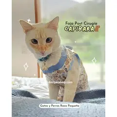 GENERICO - Faja Post Operatoria para Raza Pequeña y Gatos S Hembra