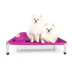 GENERICO - CAMA PARA PERRO TIPO HAMACA TELA TAPIZ TALLA L - MORADO + ALMOHADA DE REGALO
