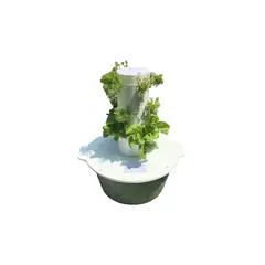 GENERICO - Kit agronómico para niños