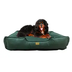 PET MOOD - Cama para Mascotas Antialérgica T-3XL Verde