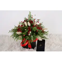 GENERICO - Box con Mini Arbol Navideño