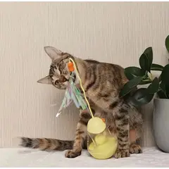 GENERICO - PORFIADO PARA GATOS - AMARILLO