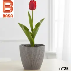 BASA - MACETA TEJIDA PETUNIA NRO 25 -