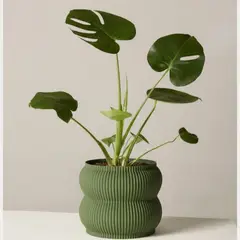 GENERICO - Porta maceta MA-Z Home N17 color Verde Olivo