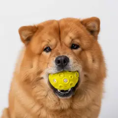GENERICO - CrazyMoon - Pelota de Goma Texturizada para Perros Amarillo