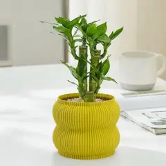 GENERICO - Porta maceta MA-Z Home N12 color Mostaza