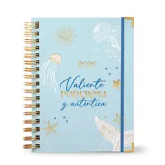 GENERICO - Agenda Diaria Gold - SERENA