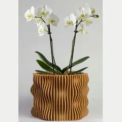 GENERICO - Porta maceta MA-Z Spin N12 color Madera