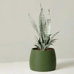 GENERICO - Porta maceta MA-Z Blush N12 color Verde Olivo