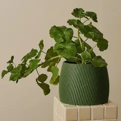 GENERICO - Porta maceta MA-Z Blush N15 color Verde Olivo