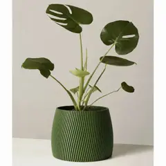 GENERICO - Porta maceta MA-Z Blush N17 color Verde Olivo