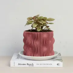 GENERICO - Porta maceta MA-Z Spin N9 color Sandía