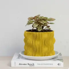 GENERICO - Porta maceta MA-Z Spin N9 color Mostaza