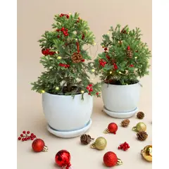 GENERICO - Árbol de navidad natural - Cipres Azul