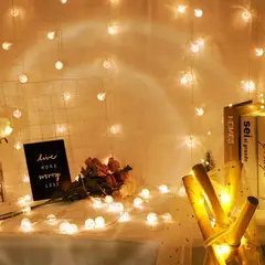 GENERICO - Cortina de Luces Tipo Bombilla Ideal para Navidad eventos o tu habitación