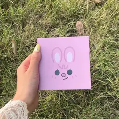 GENERICO - MINI BINDER SKZOO VERSION 6