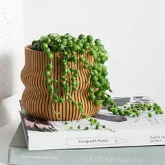 GENERICO - Porta maceta MA-Z Miel N9 color Madera