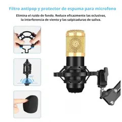 SEISA - Kit Micrófono Condensador Profesional Con Soporte Y Antipop para Streaming PC