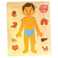 GENERICO - Rompecabeza órganos internos en madera de NIÑO