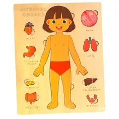 GENERICO - Rompecabeza órganos internos en madera de NIÑA