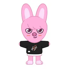 GENERICO - PARANTE DE ACRILICO SKZOO 6