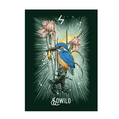 GENERICO - El oráculo rúnico de los animales. 24 cartas y libro guía para brujas