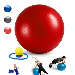 HOLGU - Pelota Yoga-Pilates Variado 65cm Profesional + Inflador + Guantes Gym