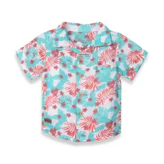 PILLIN - Camisa Bebe Niño PVC821-25CAL Calipso