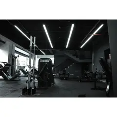 GENERICO - Plan Anual - Aarmy Gym