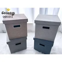 GOLDSUN - CAJA ORGANIZADORA DE ALMACENAMIENTO 30CM ARENA