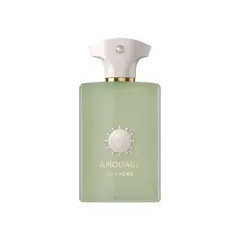 AMOUAGE - MEANDER EDP 100ML