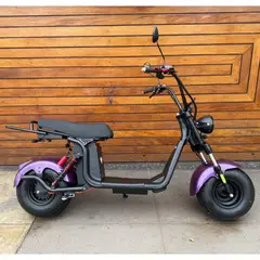 SHEEPBUSTER - Scooter Electrico Urban 1500W 20AH 240V Morada