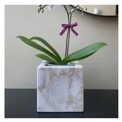 DAS HAUS - MACETERO MÁRMOL CALACATTA GOLD