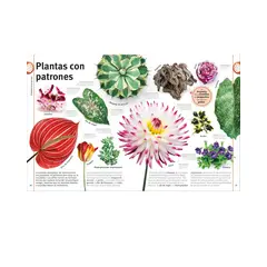 GENERICO - El libro de las flores y los árboles - Libros infantiles